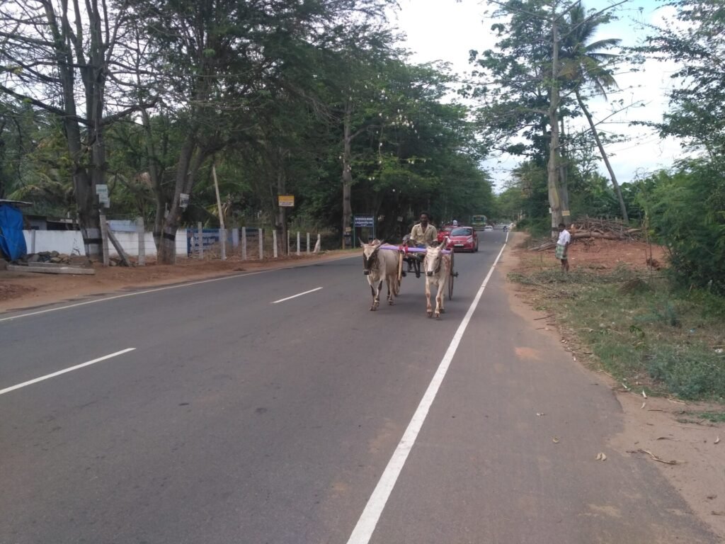 tamilnadu sightseeing