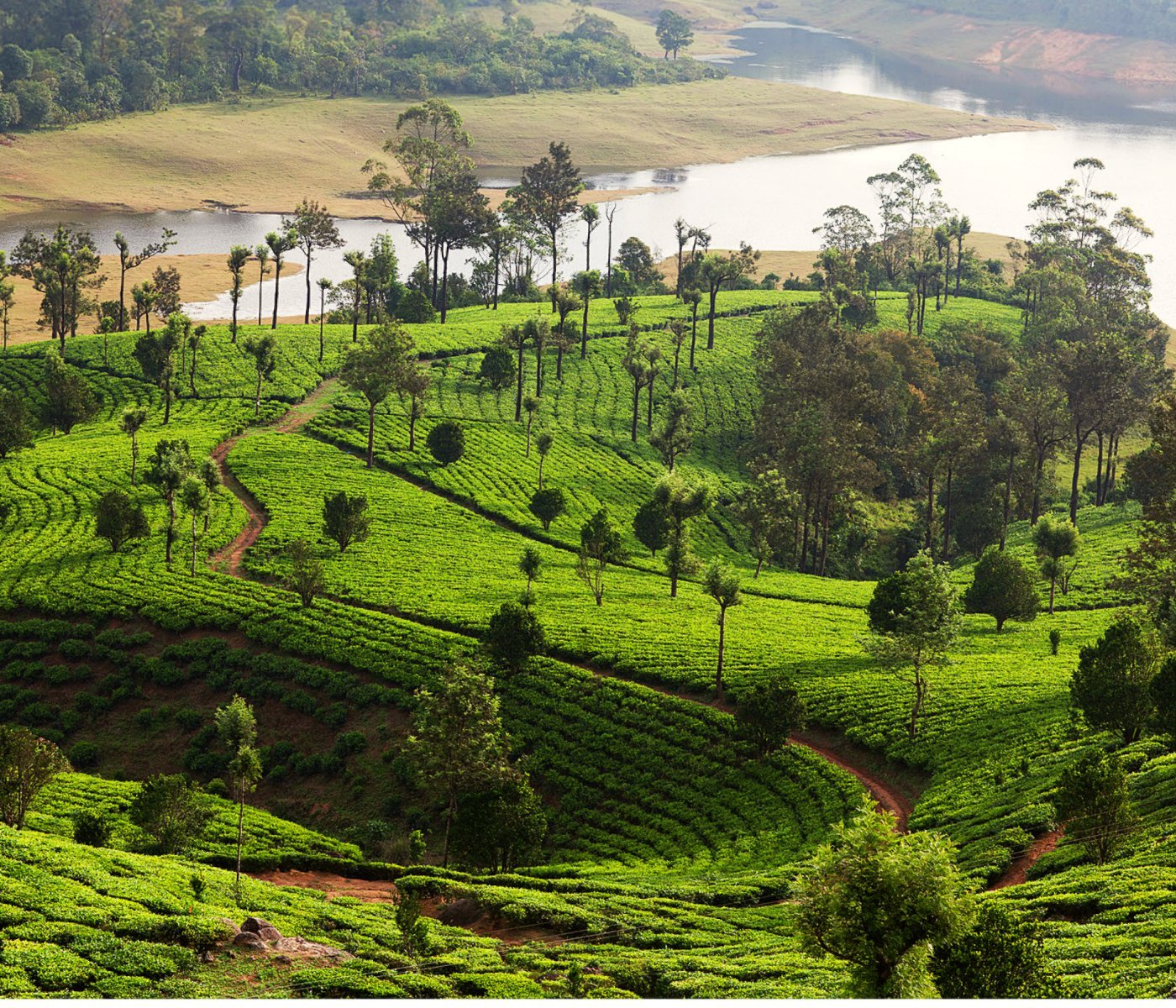 spice tour in thekkady